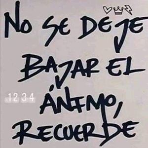 Meet your Posher, Ronald